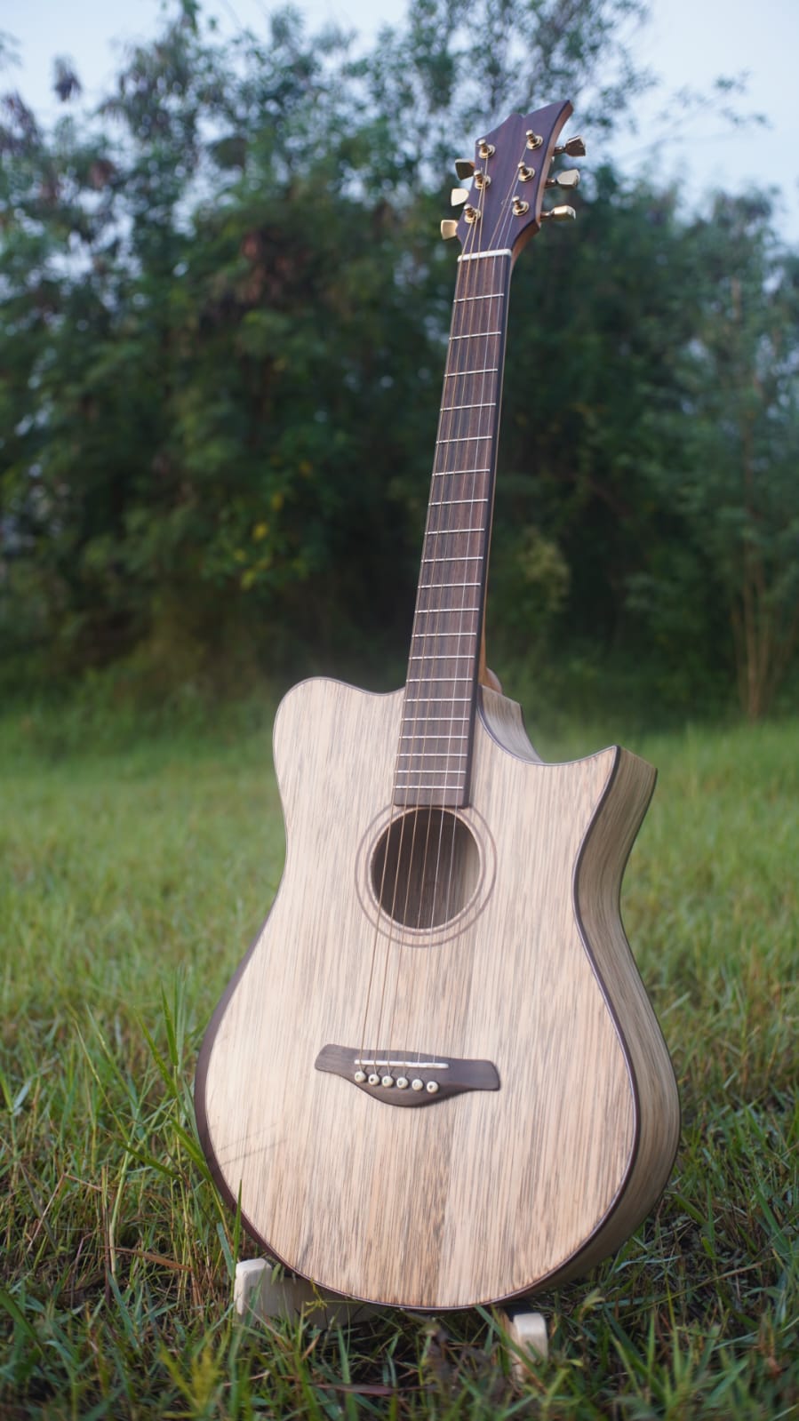 Sylvara Guitar