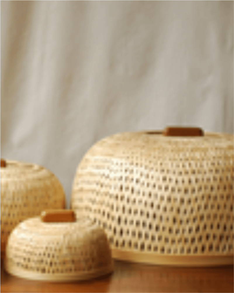 Boana Food Cover